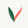 Vivid Salons app logo